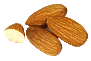 almond png