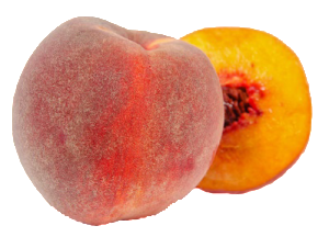 peach png